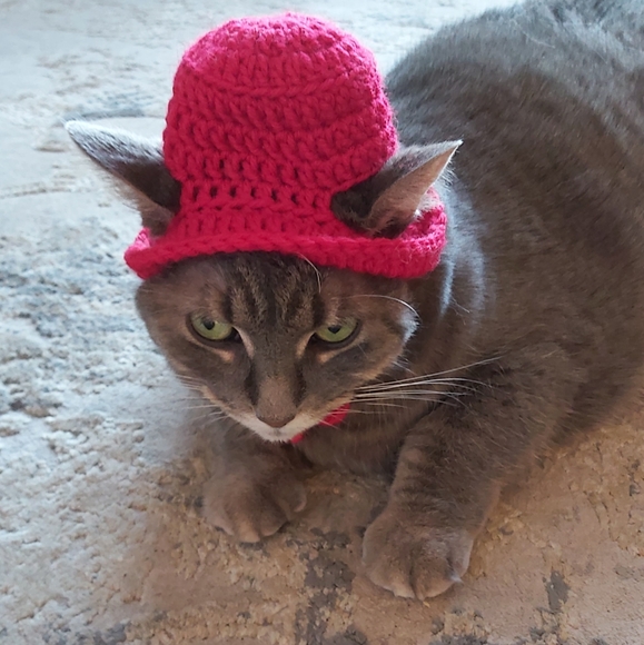 Meet your Posher, Sheila - Picture 2 of 2